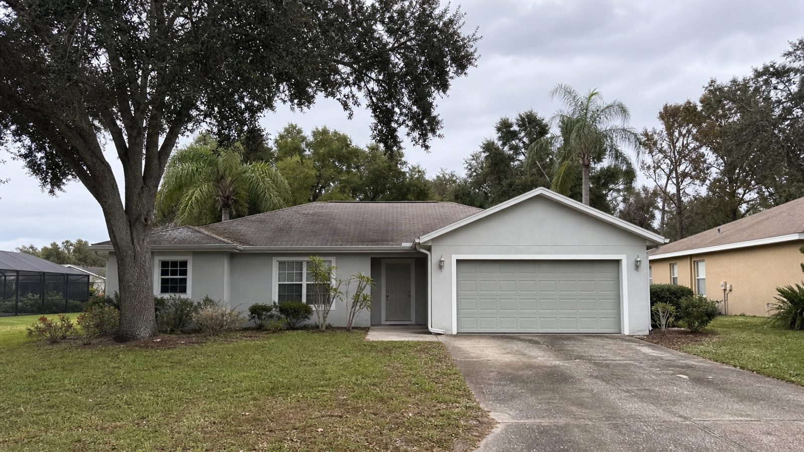 Central Florida neighborhood with pool enclosures, palms, live oaks, slight haze, documentary residential view