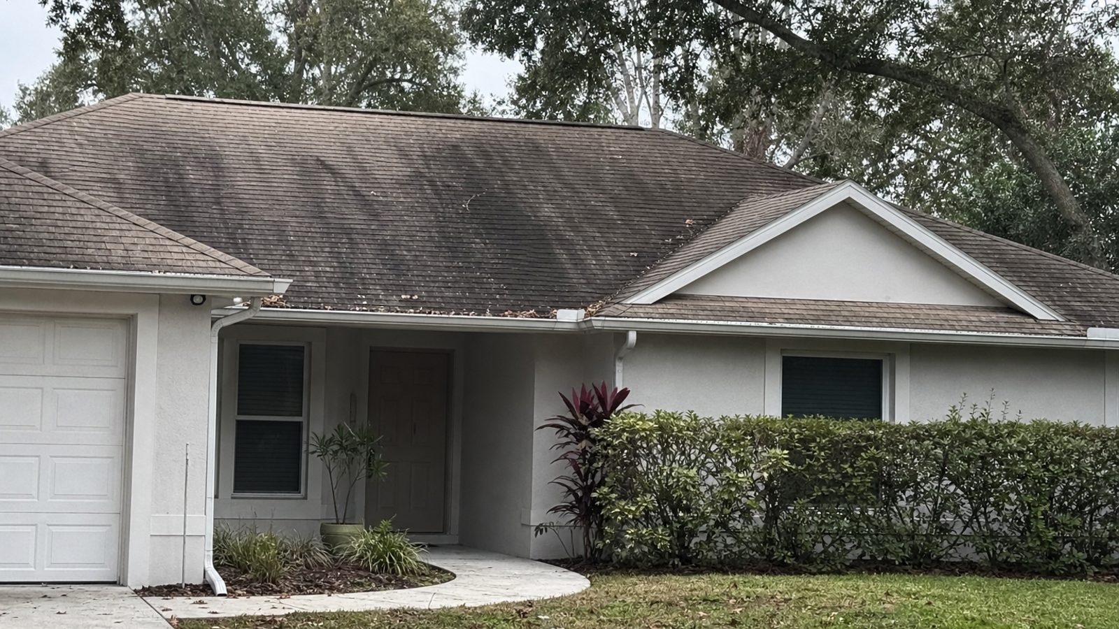 Florida asphalt shingle roof with dark algae streaks near shaded side and minor gutter debris