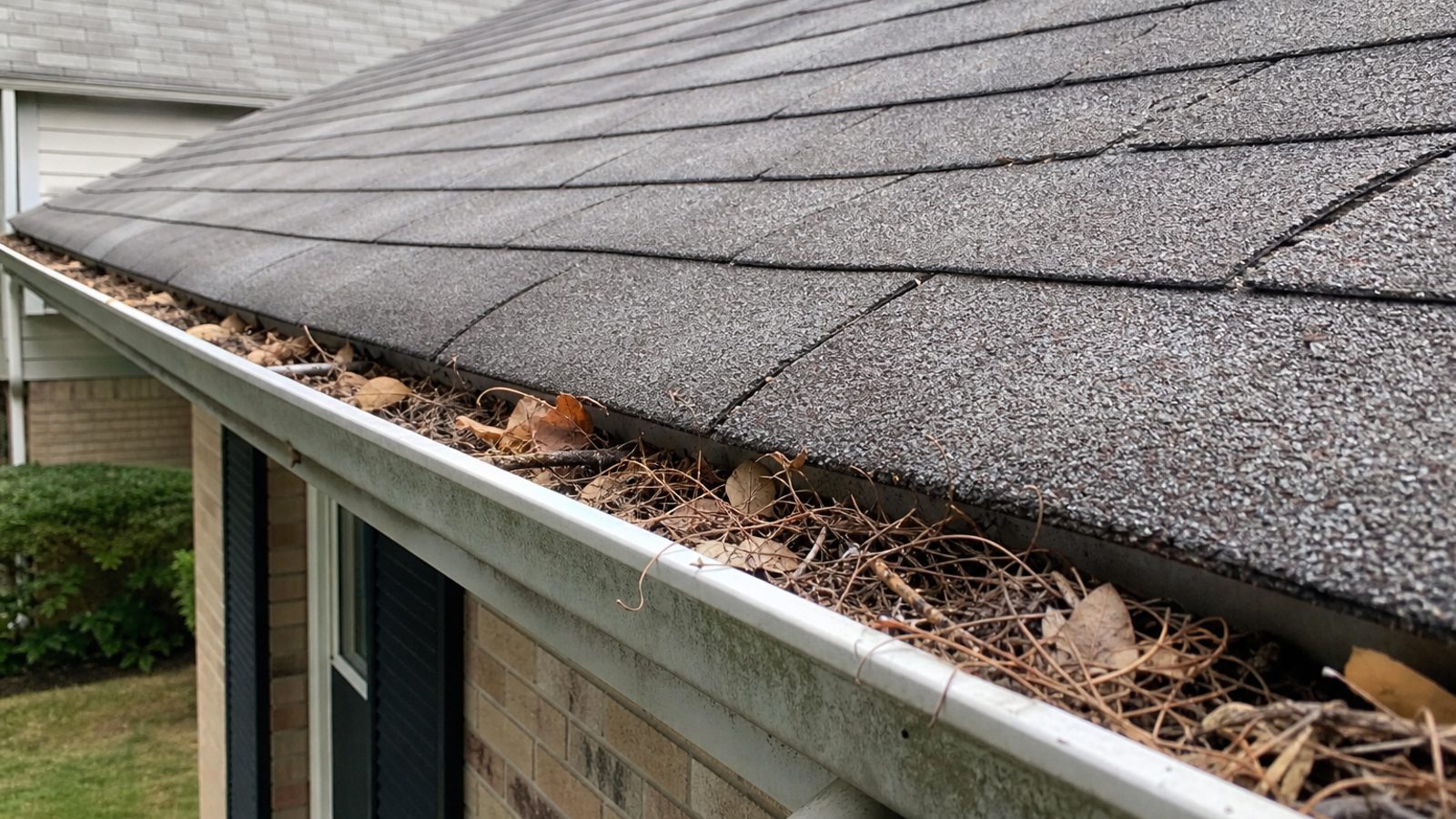 Exterior roof edge and gutter with leaf debris, humidity staining, realistic residential roofline